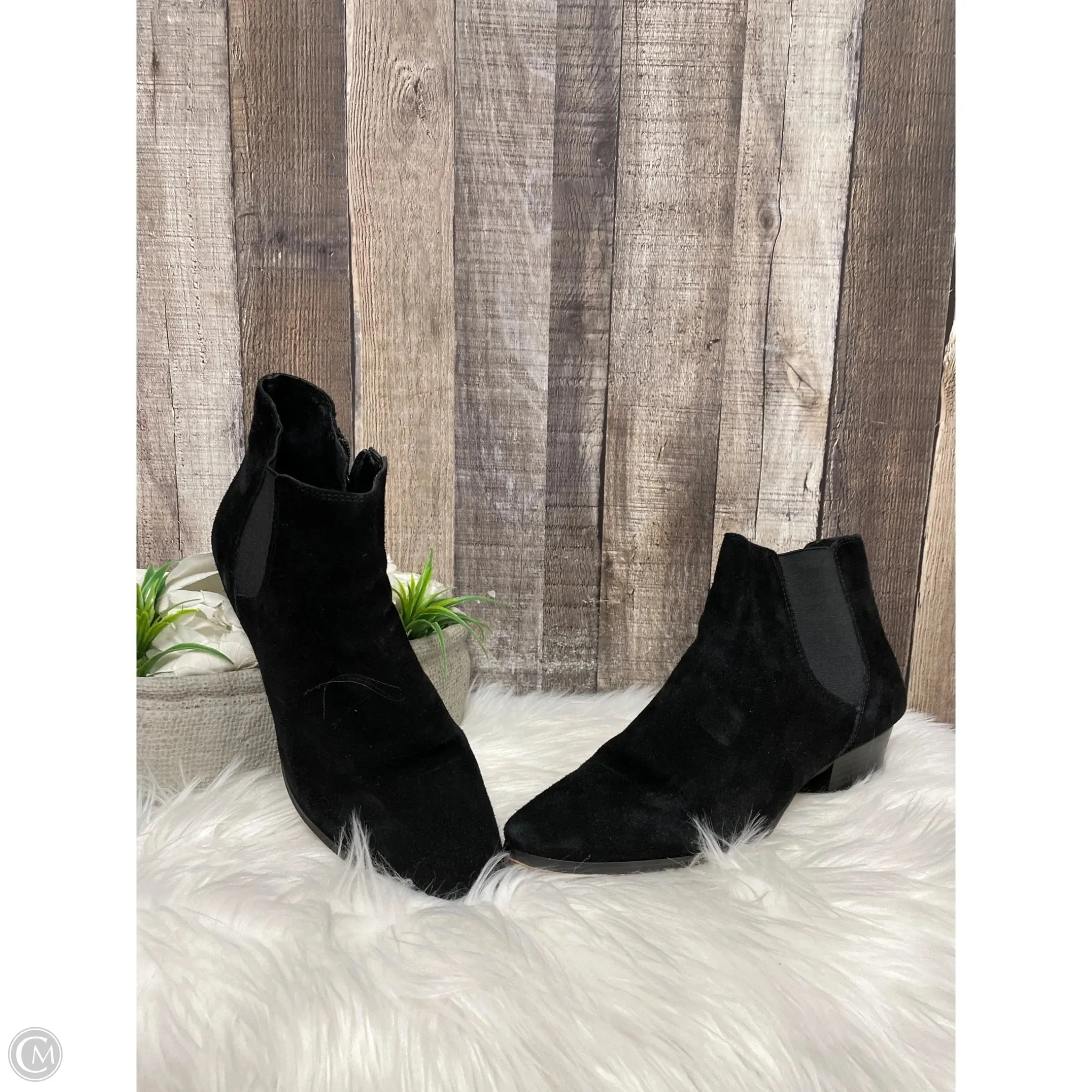 Boots Ankle Heels By Vince Camuto In Black, Size: 11