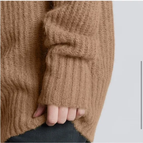 Everlane Alpaca Oversized Turtleneck