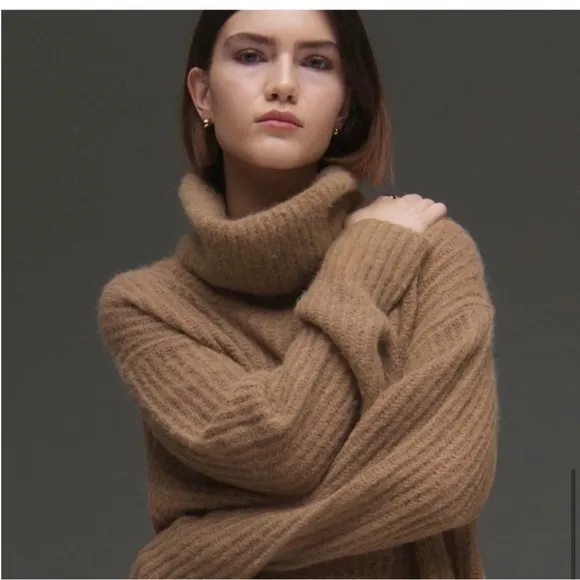 Everlane Alpaca Oversized Turtleneck