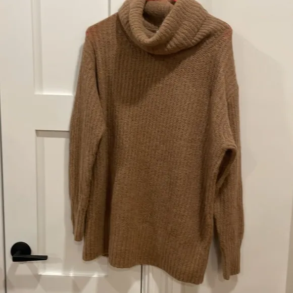 Everlane Alpaca Oversized Turtleneck