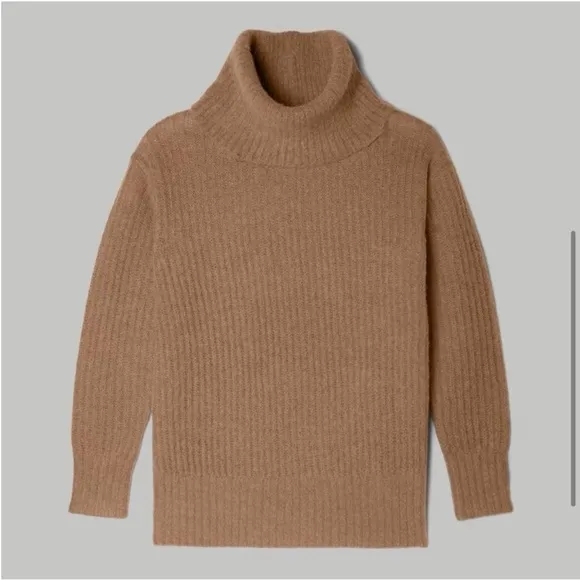 Everlane Alpaca Oversized Turtleneck