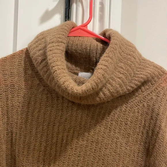 Everlane Alpaca Oversized Turtleneck