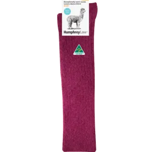 Humphrey Law Women's Alpaca Knee-High Sock - 4 Colours