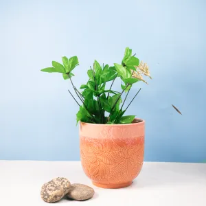 Pink Rustic Leaf Patern Glazed Ceramic Flower Pot