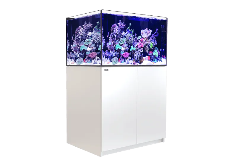 Red Sea Reefer G2  300  - White