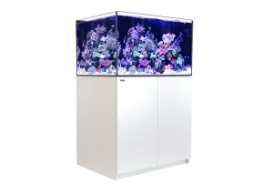 Red Sea Reefer G2  300  - White
