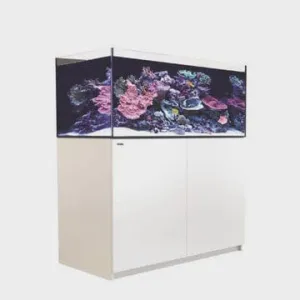 Red Sea Reefer G2  425 (120x55x60cm) - White