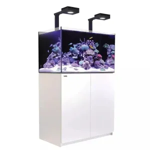 Red Sea Reefer G2  Max 250 - White