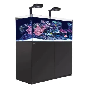 Red Sea Reefer G2  Max 425 - Black