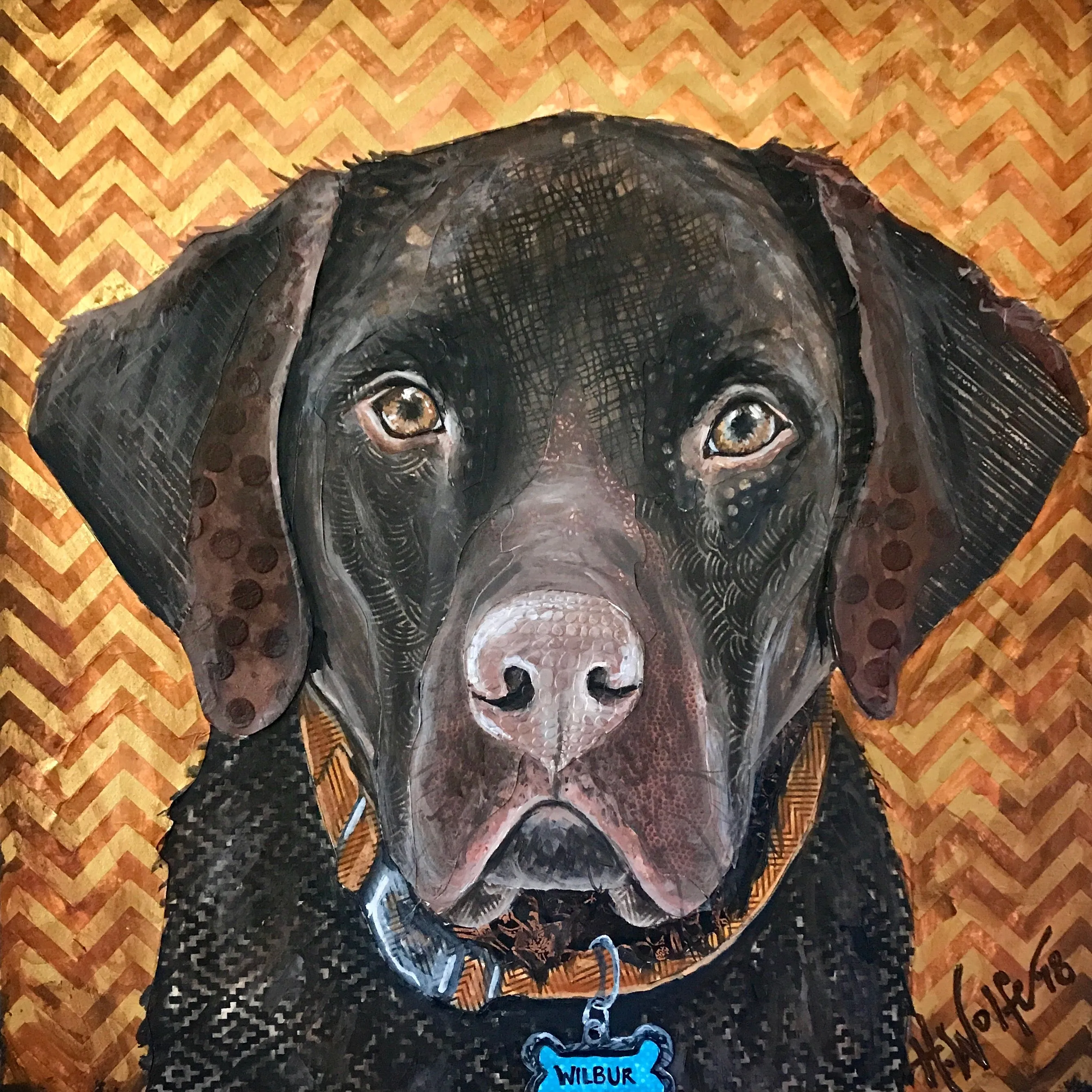 Wilbur - Chocolate Lab